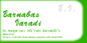 barnabas varadi business card